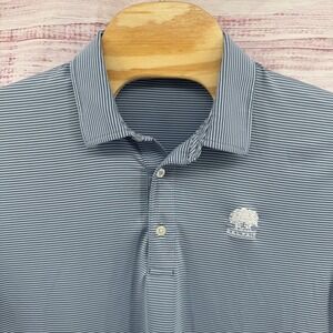 Dunning Golf Polo Shirt Mens Size Large Blue‎ Stripe Performance Casual Athletic